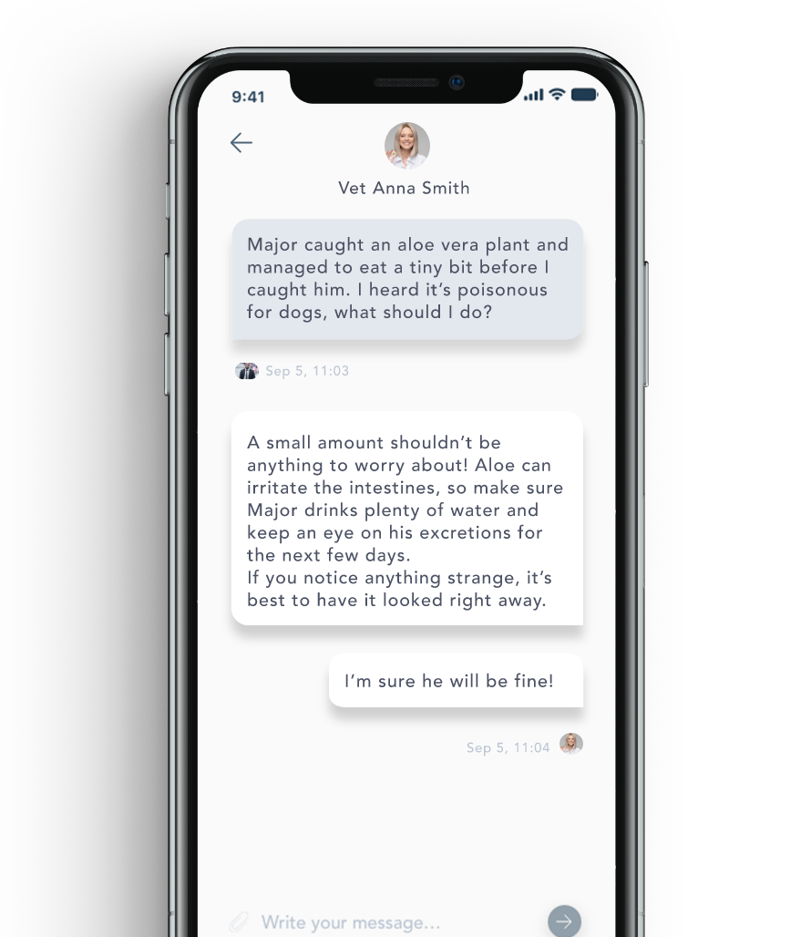 Findster Care's real-time vet chat