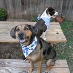 adventuresofrueandsali