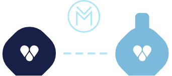 MAZE connection between Pet Module and Guardian Module