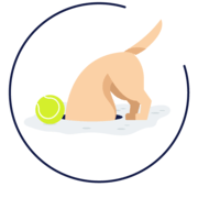 Pet Activity Monitoring