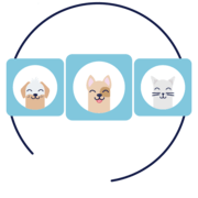 Track Up to Three Pets